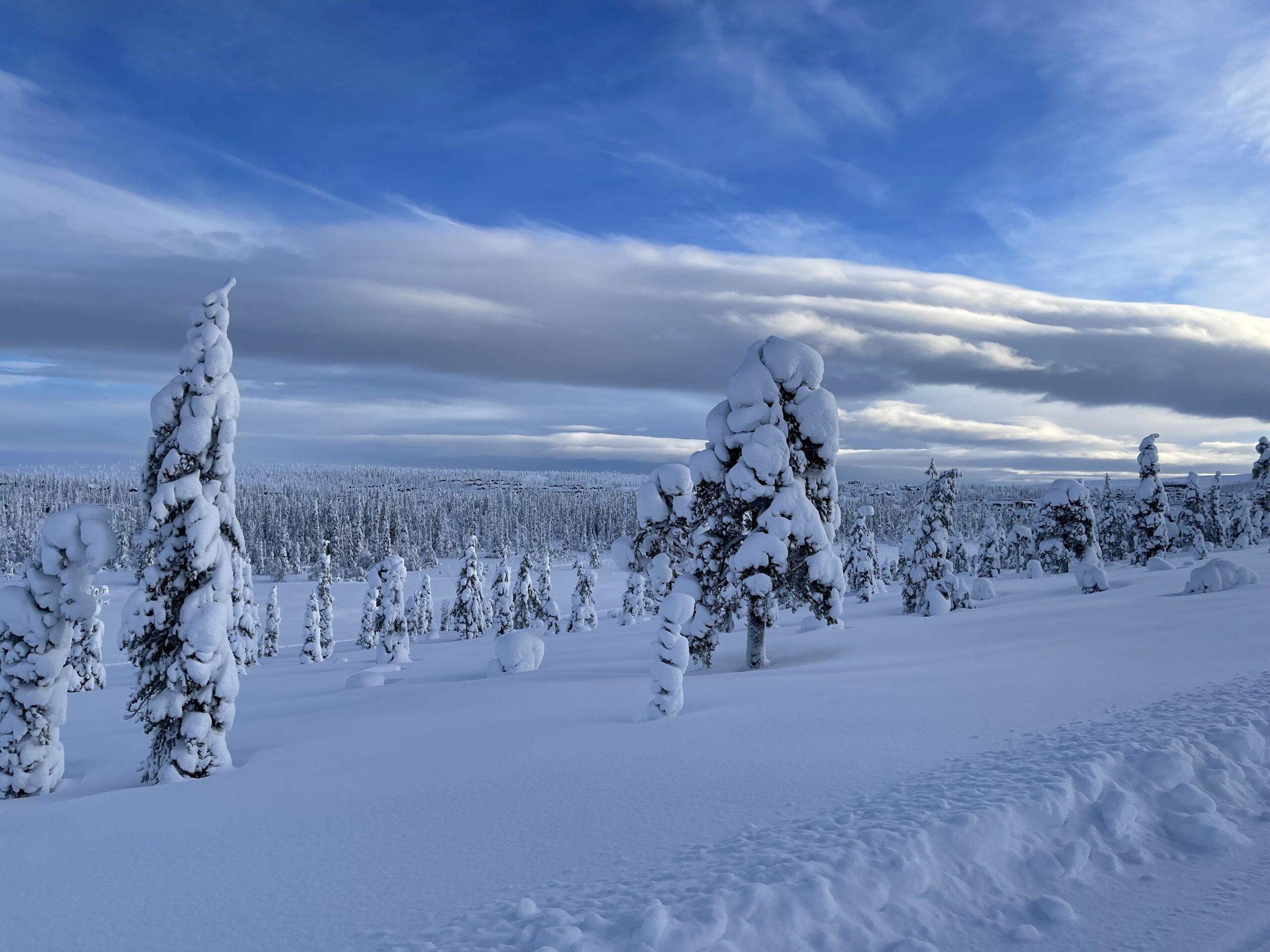 swedish hunting camp dalarna grouse hunting